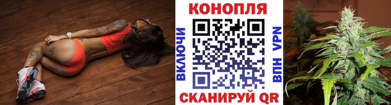 Конопля конопля Новочеркасск